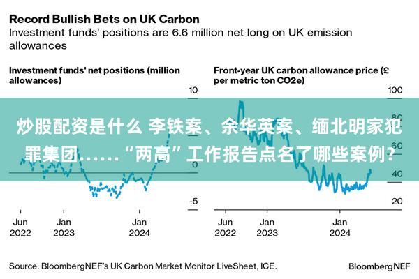 炒股配资是什么 李铁案、余华英案、缅北明家犯罪集团……“两高”工作报告点名了哪些案例？