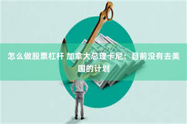 怎么做股票杠杆 加拿大总理卡尼：目前没有去美国的计划