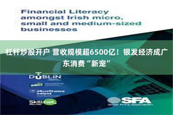 杠杆炒股开户 营收规模超6500亿！银发经济成广东消费“新宠”