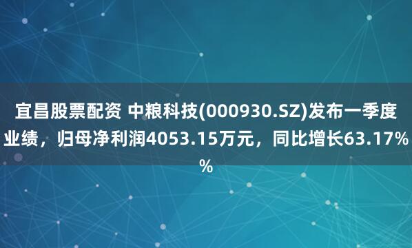 宜昌股票配资 中粮科技(000930.SZ)发布一季度业绩，归母净利润4053.15万元，同比增长63.17%