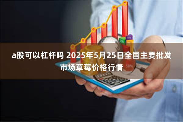 a股可以杠杆吗 2025年5月25日全国主要批发市场草莓价格行情