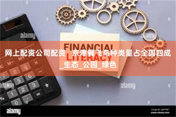 网上配资公司配资   京津冀飞鸟种类量占全国四成_生态_公园_绿色